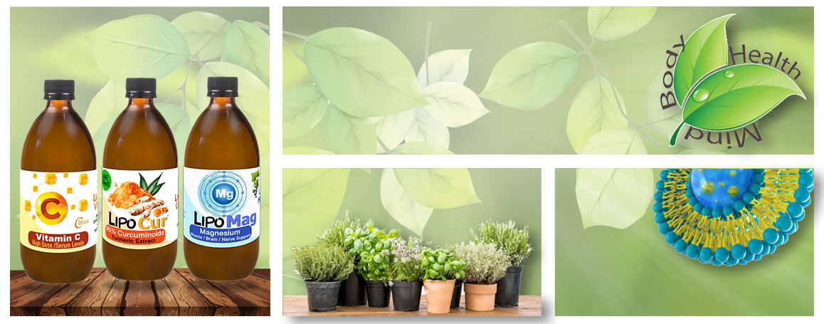 Lipoo Green-Back-Panels